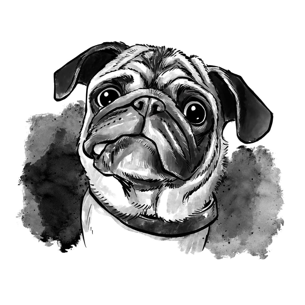 Bild – Digitale Tierportraits
