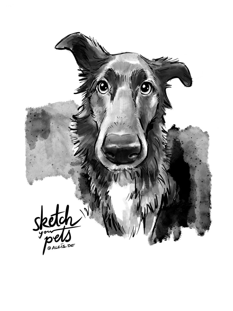 SketchYourPets Beispiel