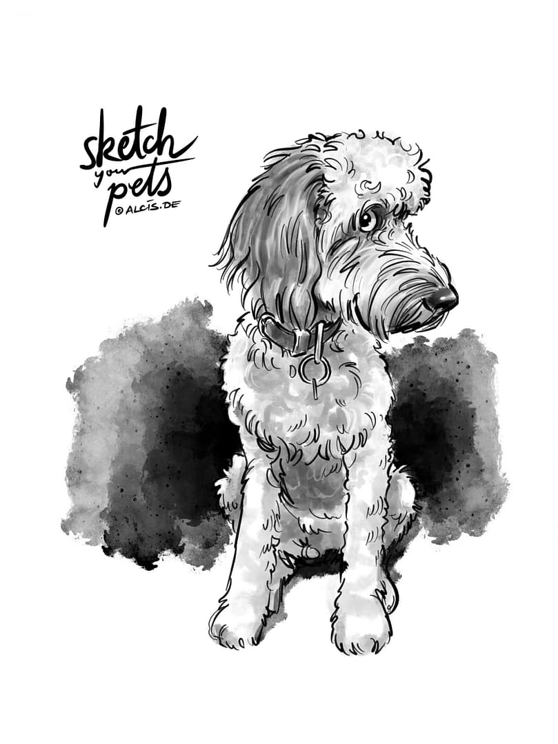 SketchYourPets Beispiel